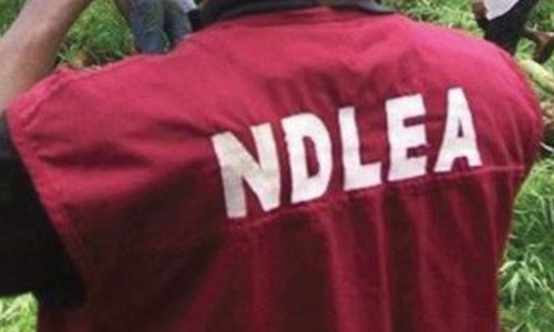 Court Grants NDLEA 14-Day Extension To Hold Alleged Drug Lord ‘Olowo Idi Ogede’