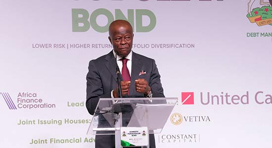 FG Mandates BVN, NIN For Investors In New $500m Domestic Dollar Bond