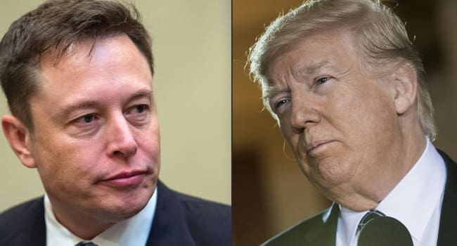 Elon Musk and Trump