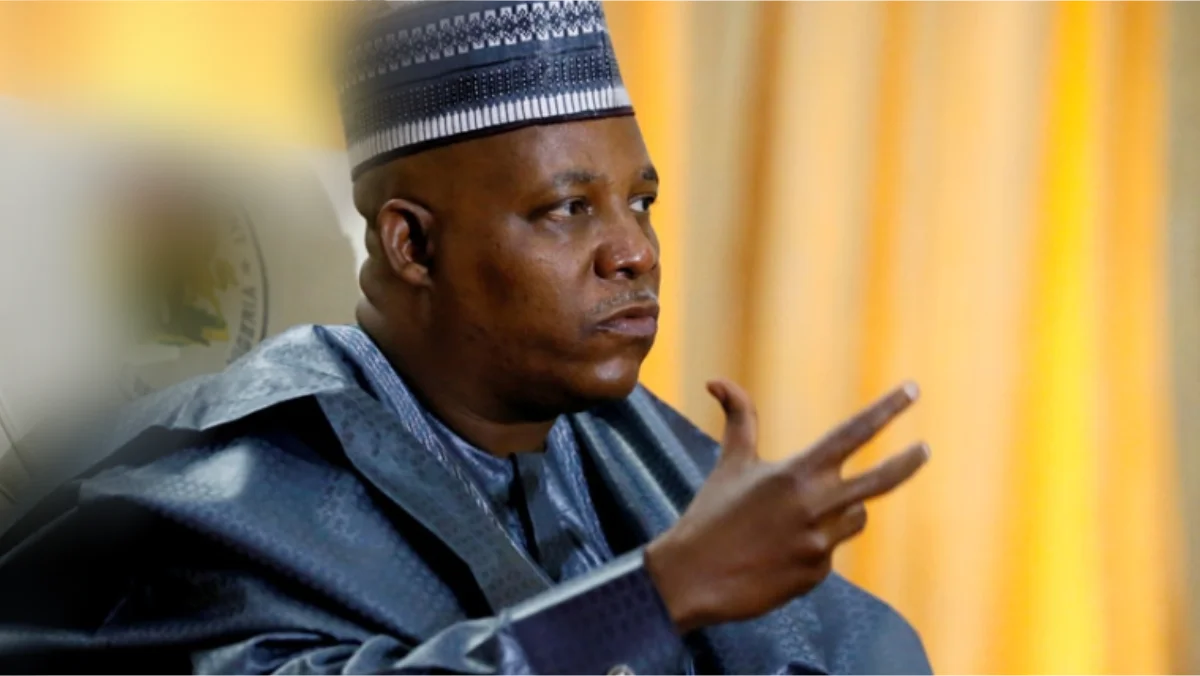 Former Borno governor Kashim Shettima