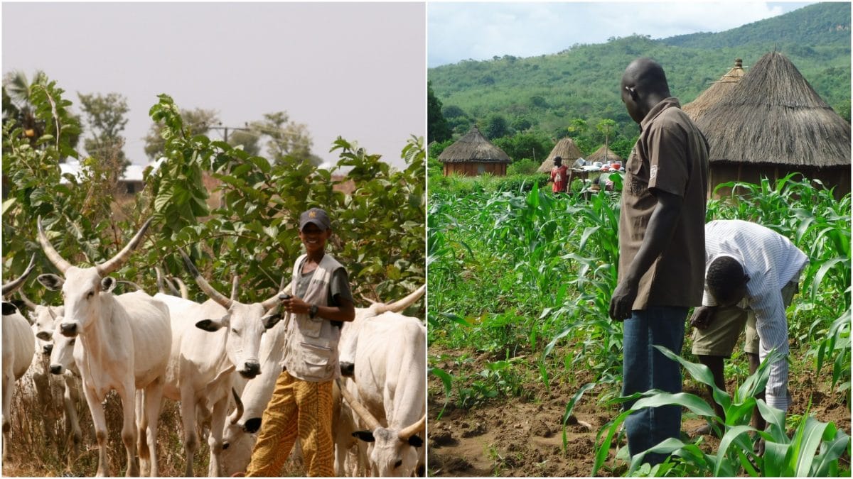 ohanaeze middle belt youths move to end farmers herders crisis