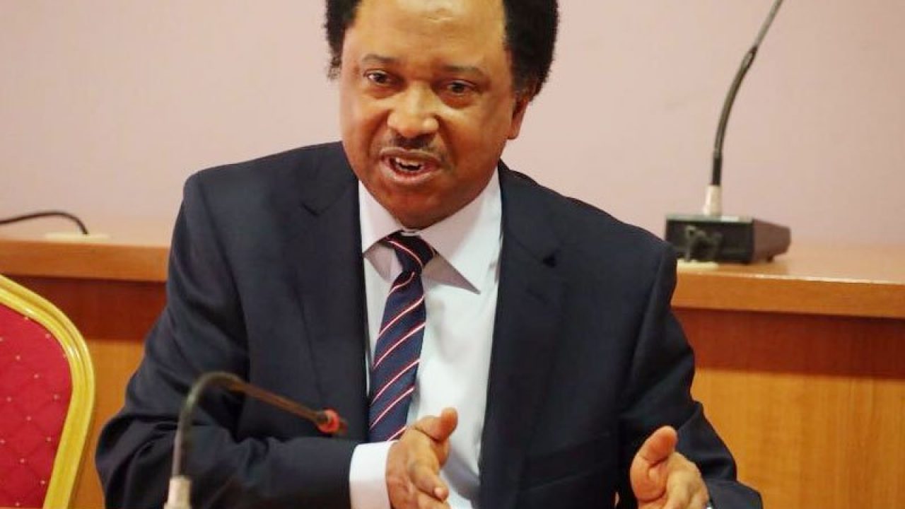 shehu 1 sani