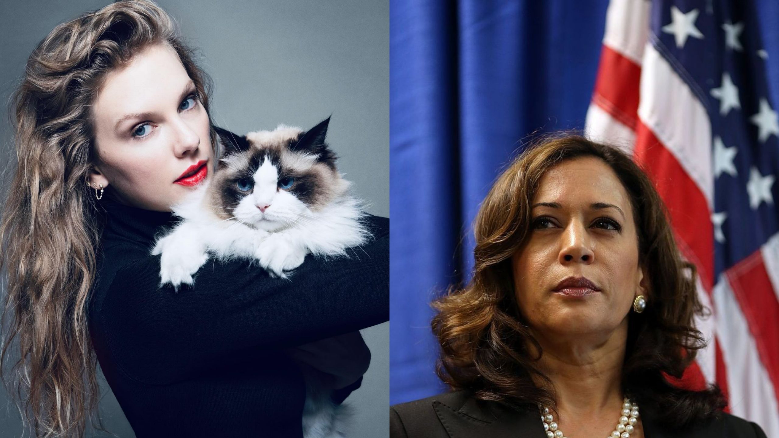 Taylor Swift Backs Kamala Harris After In-Depth Research for US Election