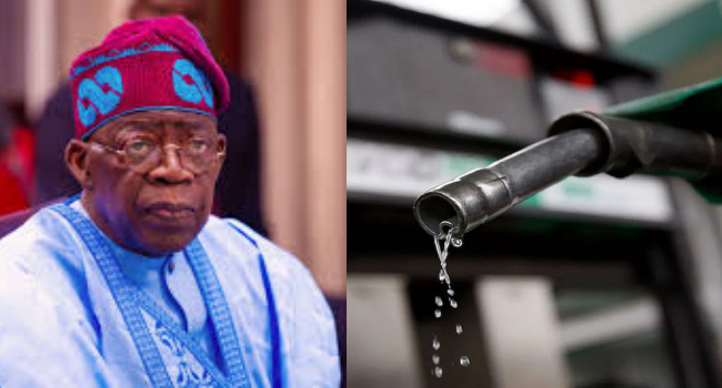 SERAP Sues Tinubu Over Petrol Price Hike, Alleged Corruption in NNPC