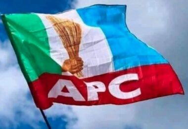 APC Flag1