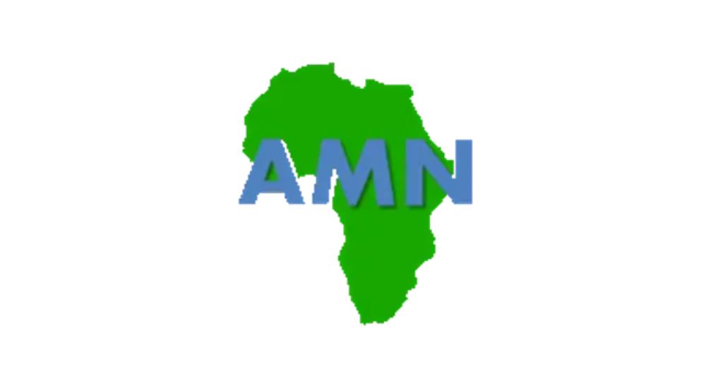 Africa Mobile Networks group logo