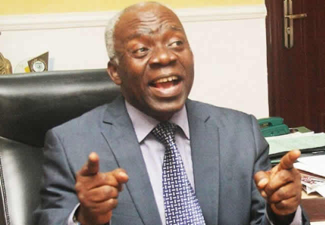 Femi Falana