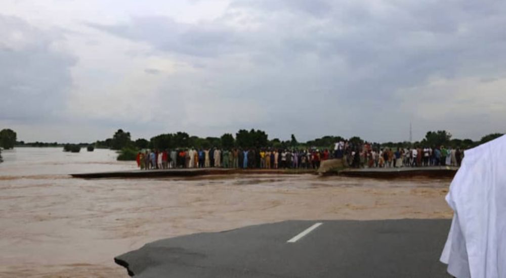 Flood damaged Kano Maiduguri Road