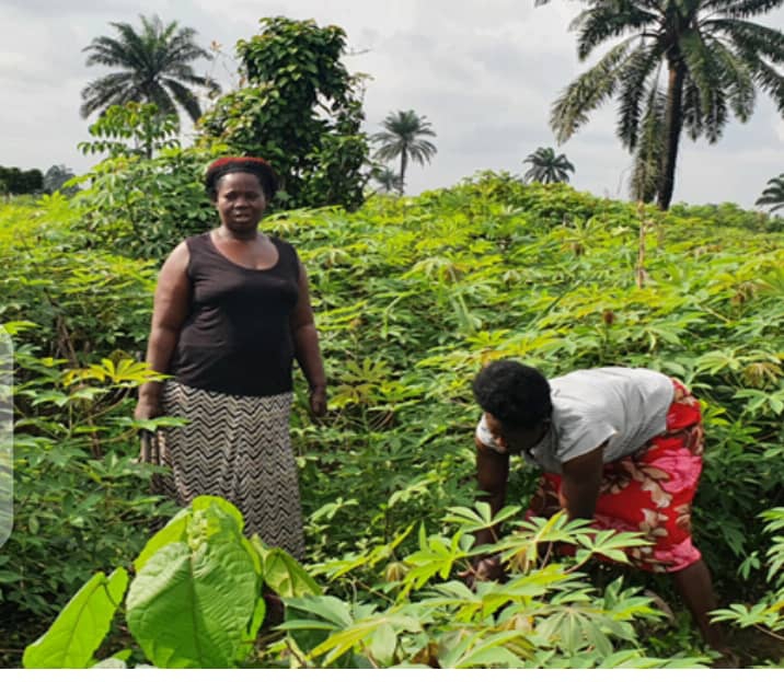 Gender Based Agricultural Policies