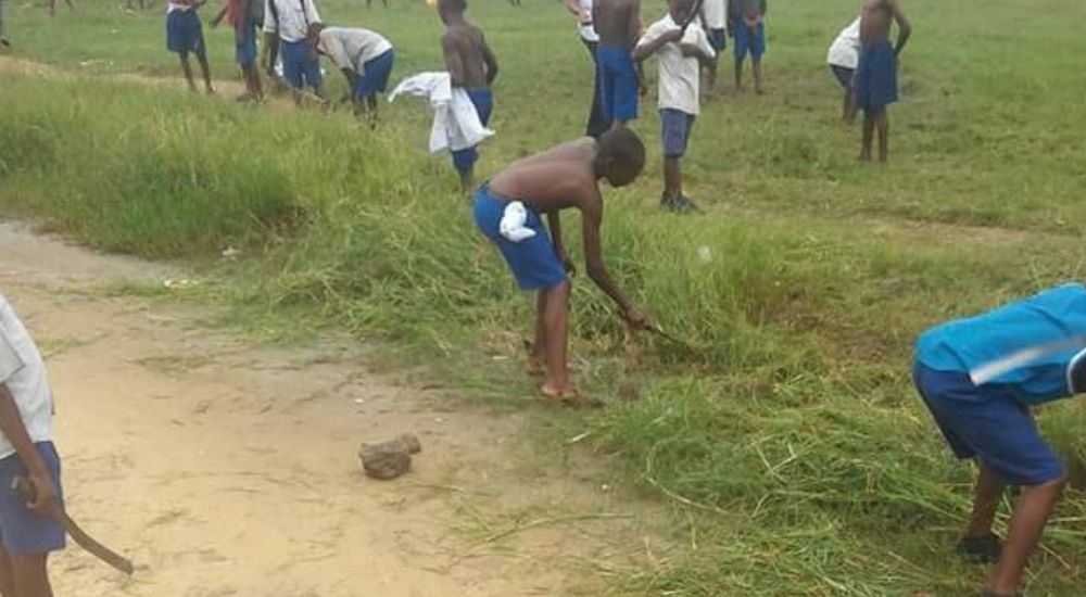 Students clearing grass