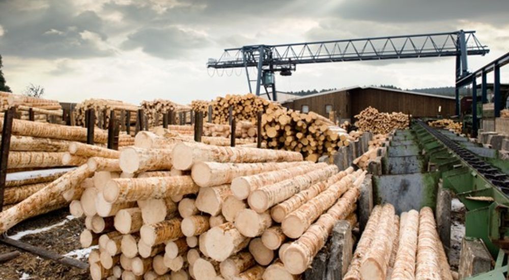 Wood Processing Factory