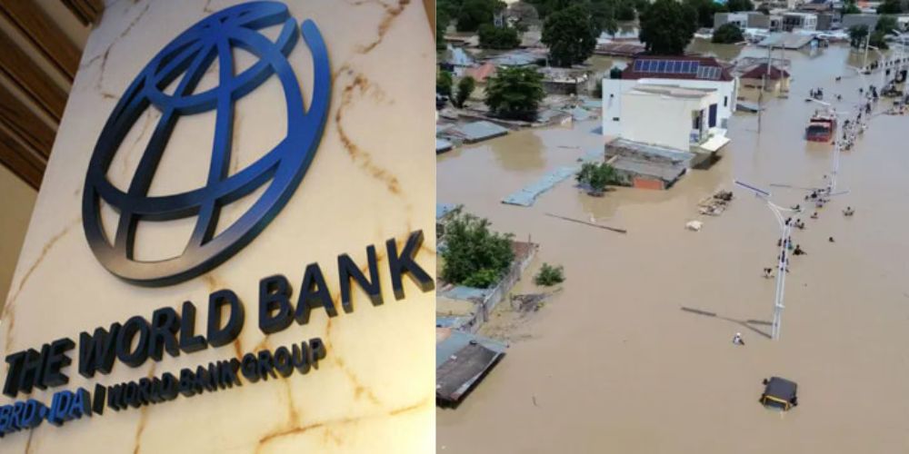 World Bank Logo and Borno Flood Disaster