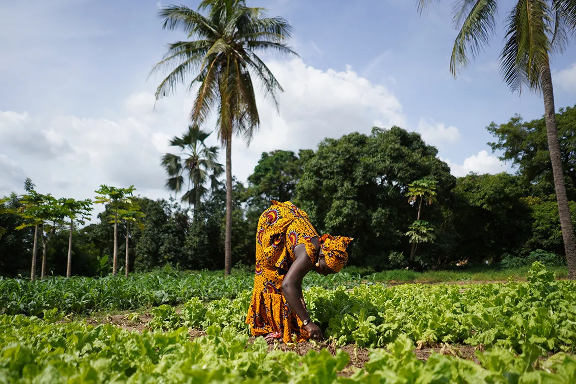 afdb climate