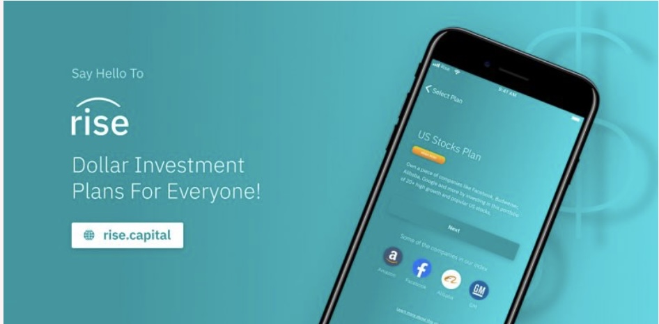 nigerian fintech company risevest