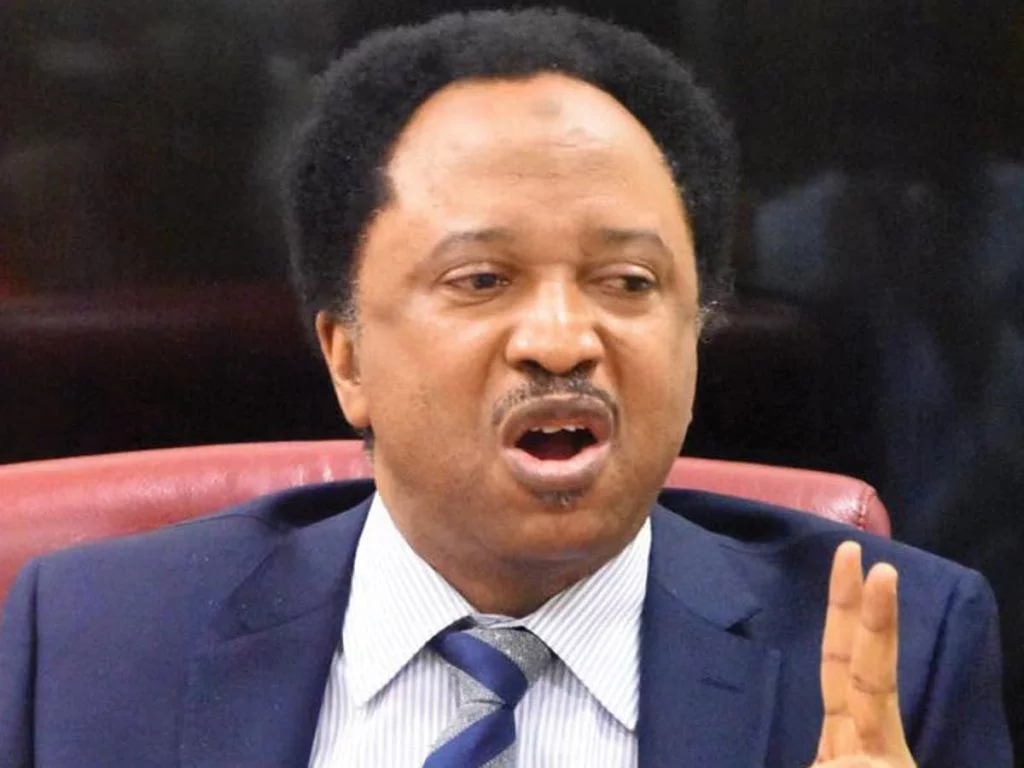 Shehu Sani’s supporters dump PDP, decamp to APC in Kaduna