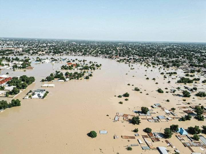 Ogun Govt Donates N200m to Borno State