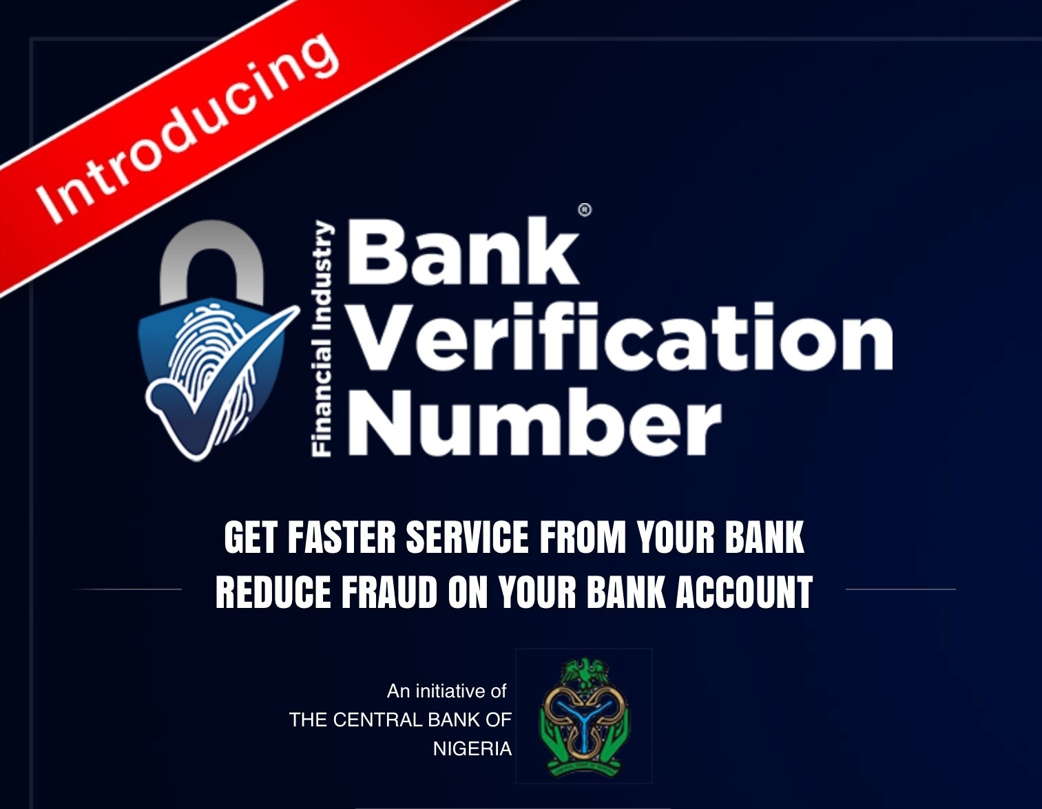 Bank Verification Number BVN Lite