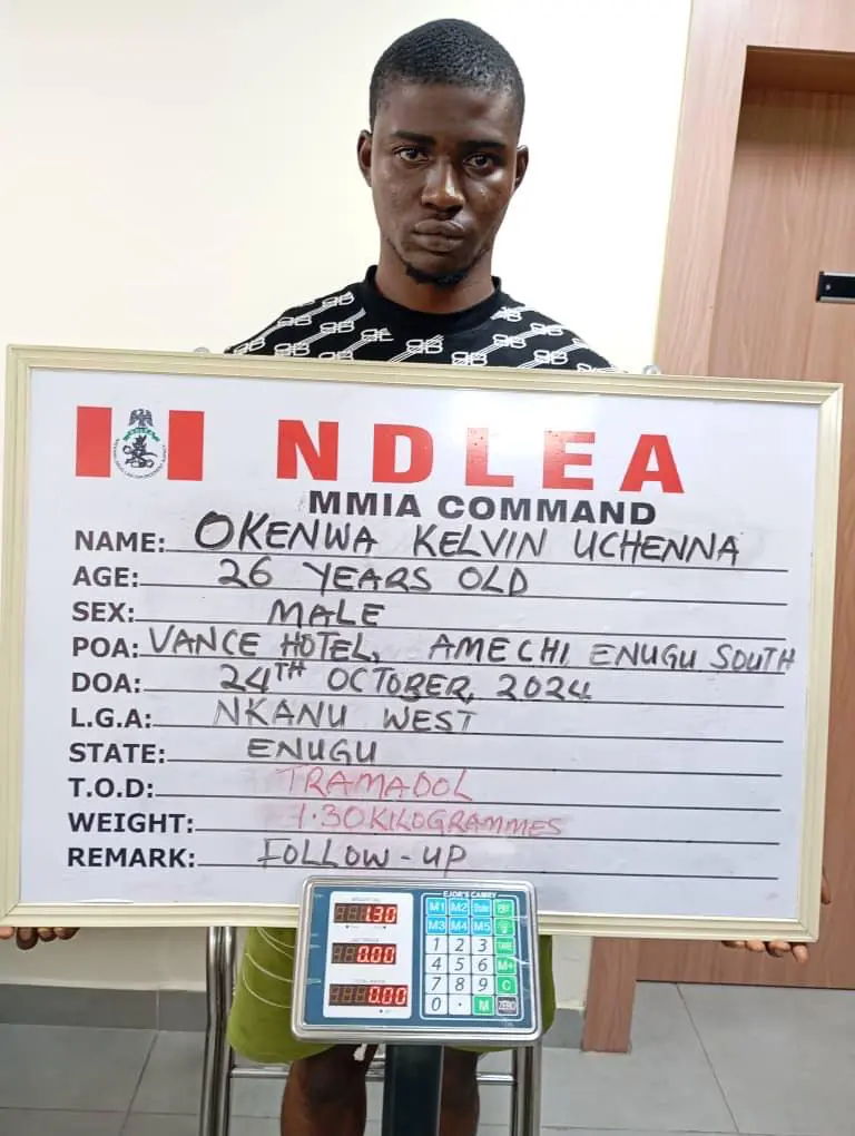 NDLEA intercepts US, Europe-bound drugs in shoe soles, N16.6bn opioids at seaports