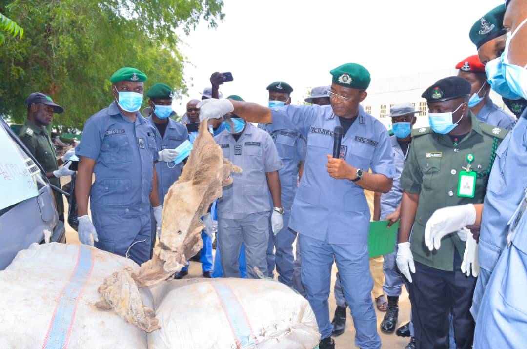 Kebbi Customs