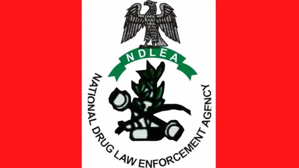 NDLEA 1 1