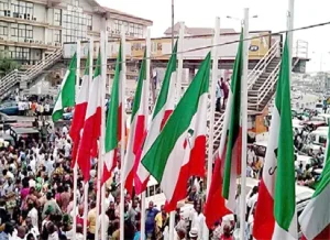 PDP rally ok