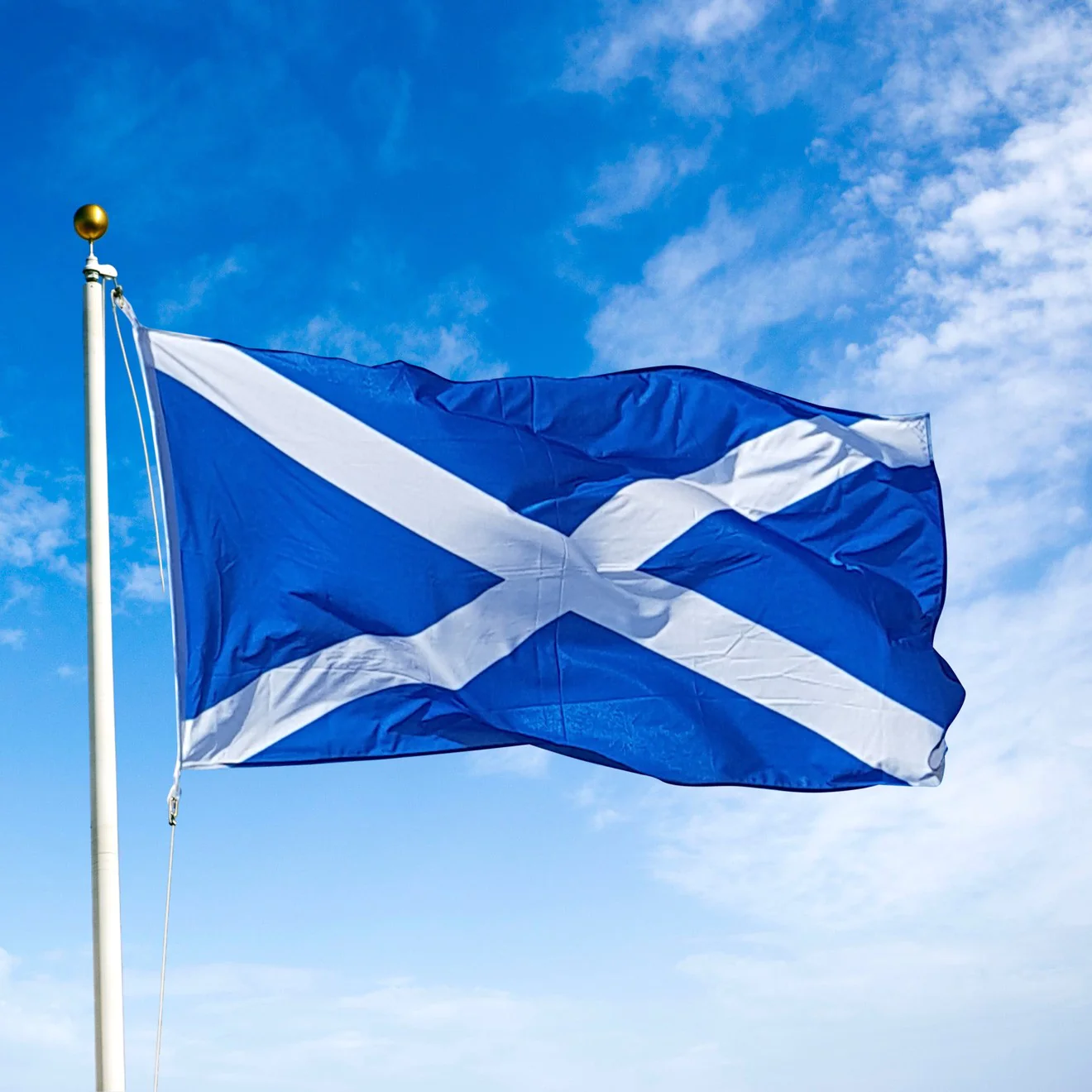 Scotland flag.webp