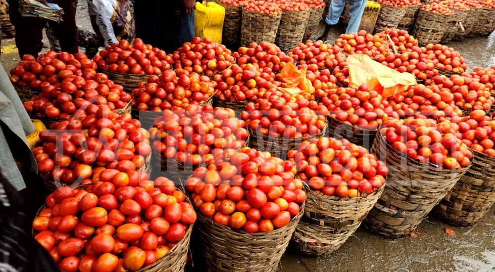 FG, Stakeholders To Meet Over Rising Tomato Price