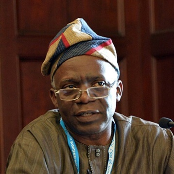 femi falana 1 1