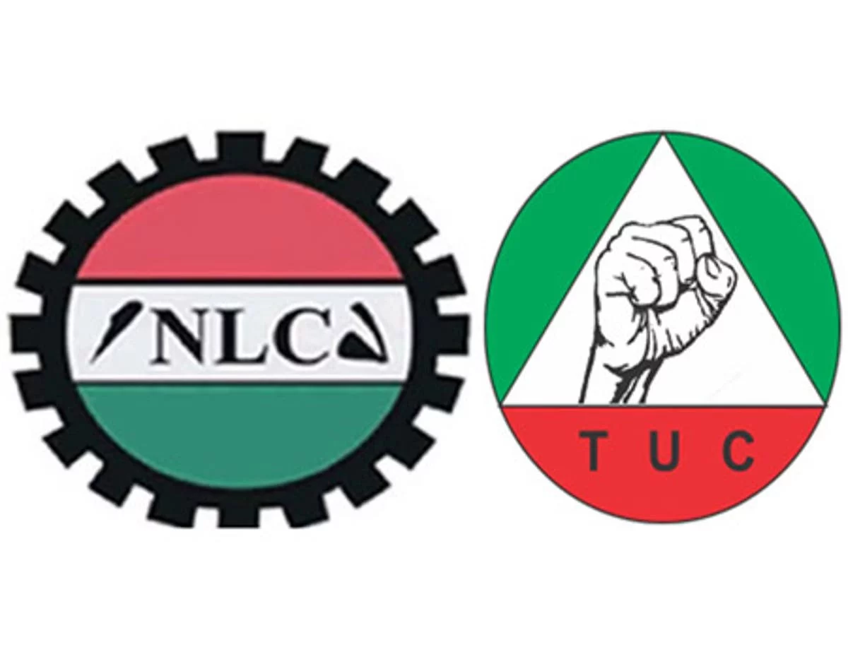 nlc tuc 1