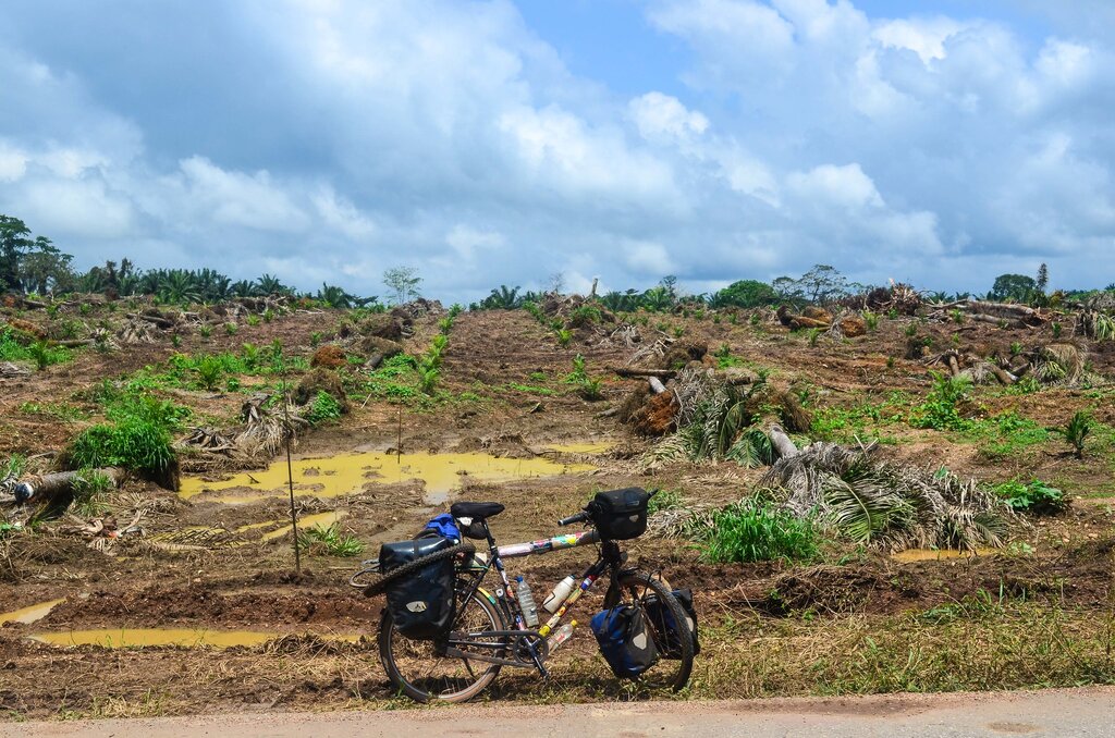 stop Deforestation