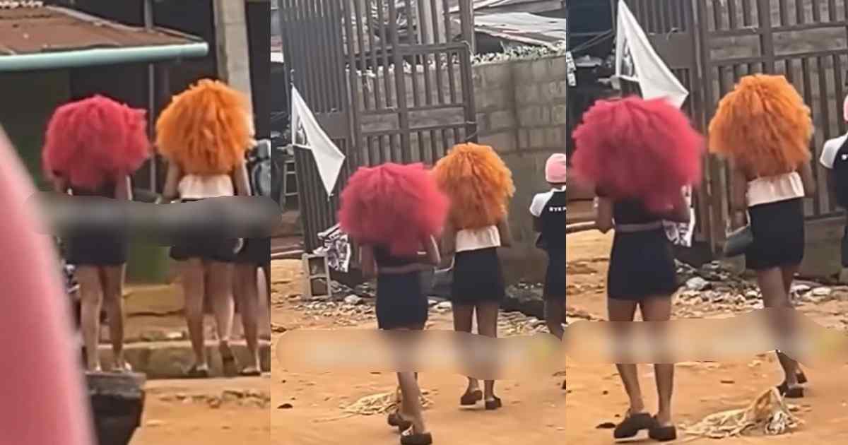 “Mufasa and Sc@r dey waka” – Ladies’ rock lion ‘mane’ wig on the street, sp@rks laughter (WATCH)