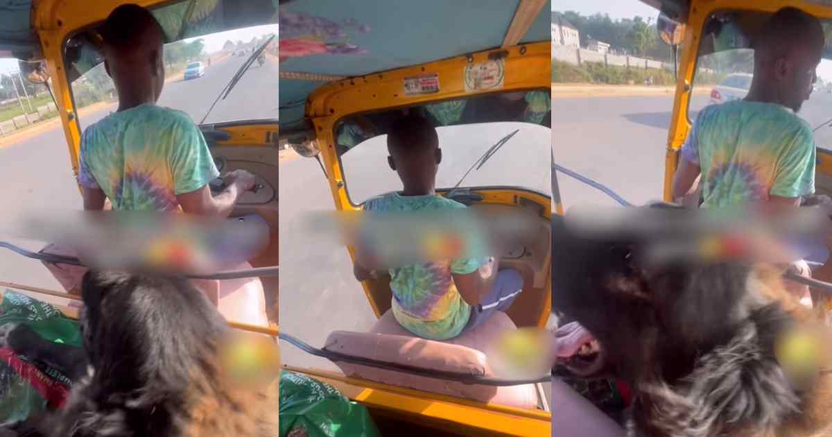 “Owner of home no gree feel at home” – Keke Rider Left Sh@ken by Passenger’s Wild Dog (VIDEO)