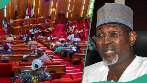 Nigerian lawmakers pressure officials to manipulate budgets for their gains – Jega