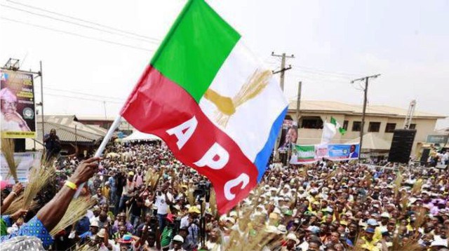 APC LOGO CROWD