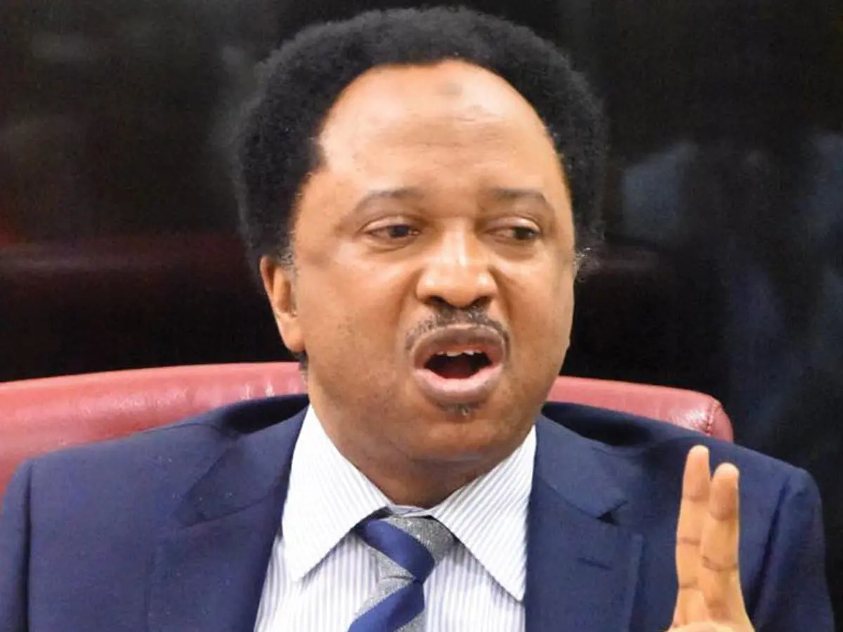 Shehu Sani Reacts After FIRS Boss Says It Is Unfair For Lagos, Rivers, FCT To Have 70% VAT Proceeds