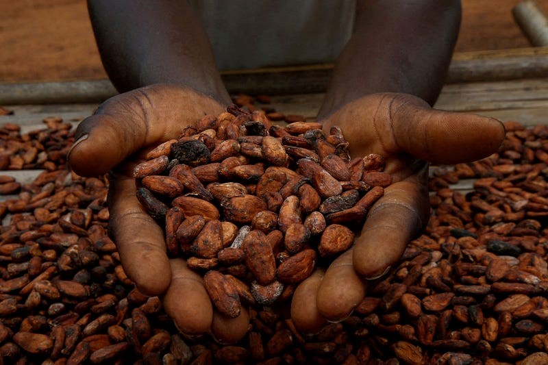 Cocoa Price