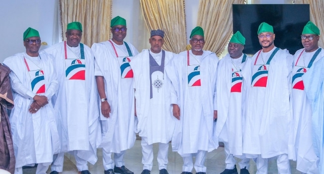 PDP governors 1