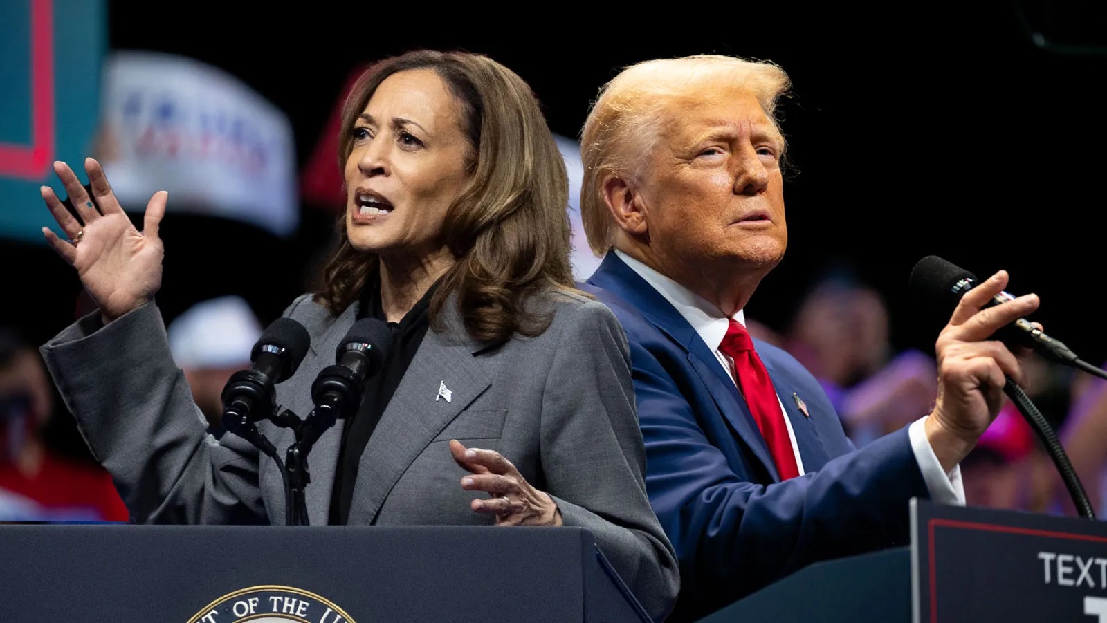 donald trump kamala harris