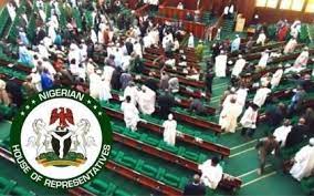 Reps group seeks home-grown parliamentary system