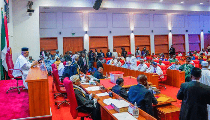 BREAKING: National Assembly approves extension of 2024 budget to June 2025