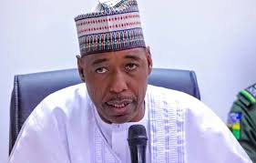 Borno: Zulum approves pay rise for medical doctors, releases N400m for residency training 