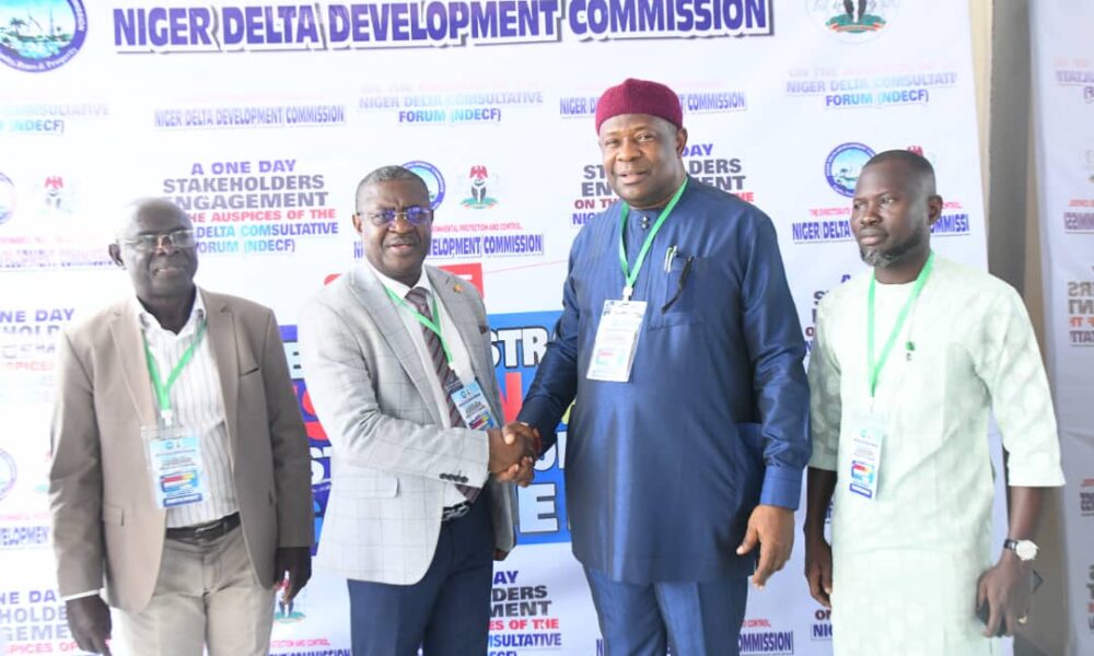 Niger Delta needs integrated strategies for safe environment – NDDC Director