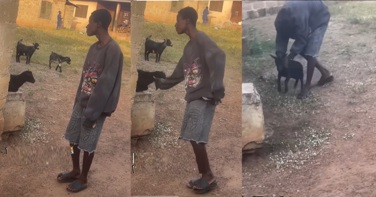 “Help me find this boy for this December” – Netizens react as boy “professionally” catches goat by its neck (WATCH)