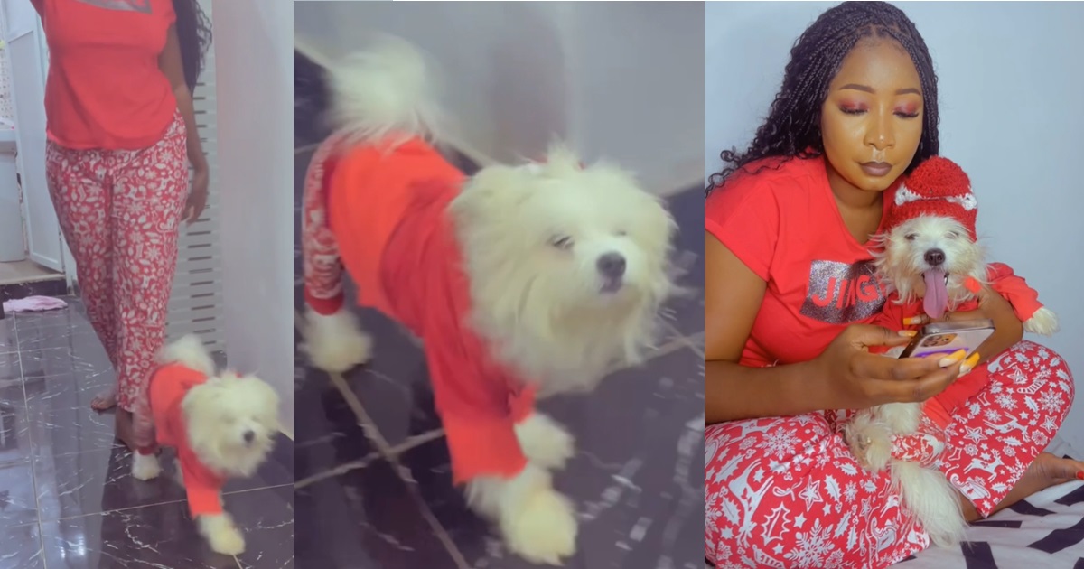 “It’s giving” – Singles endorse update as lady sets new Christmas outfit trend with her dog (WATCH)