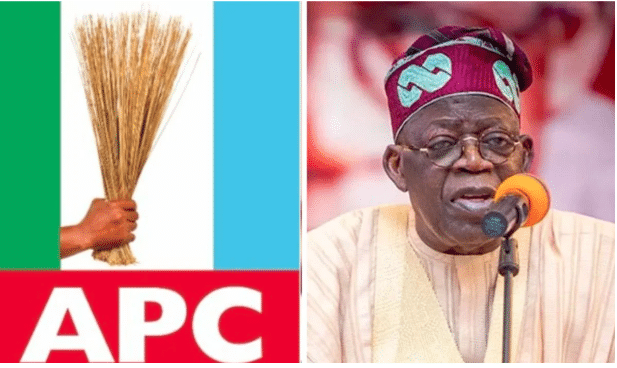 South East APC Alleges Favoritism In SEDC Appointments, Urges Tinubu To Review