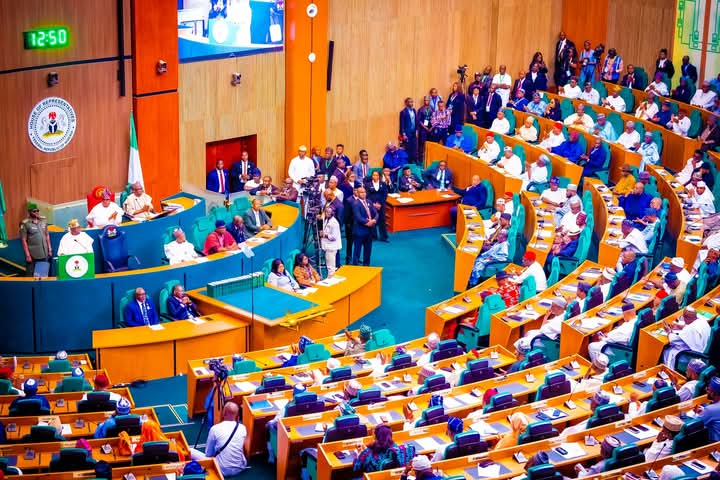 National Assembly extends 2024 budget implementation to June 2025, assures on tax reform bills   