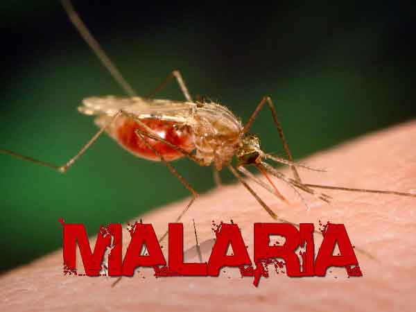 Malaria