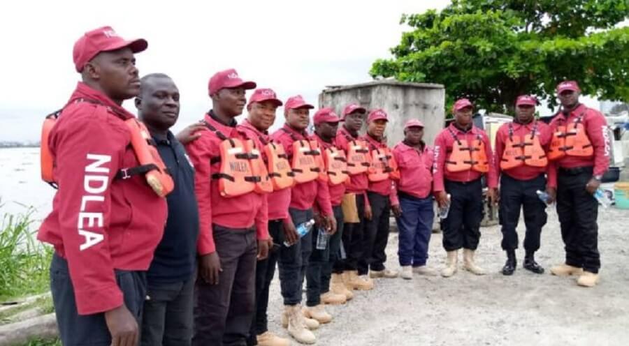 Christmas: NDLEA Raids Kano Drug Dens, Arrests 34