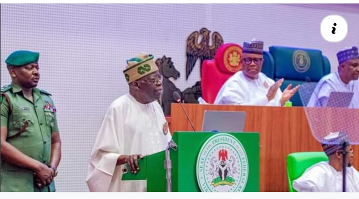 2025 budget presentation: Tinubu’s full speech to National Assembly