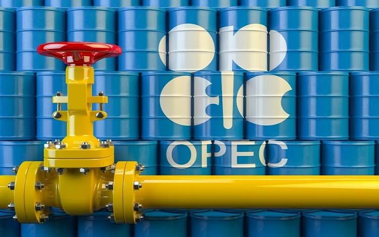 Oil Price Rises Above $73 Per Barrel Ahead Crucial OPEC+ Meeting